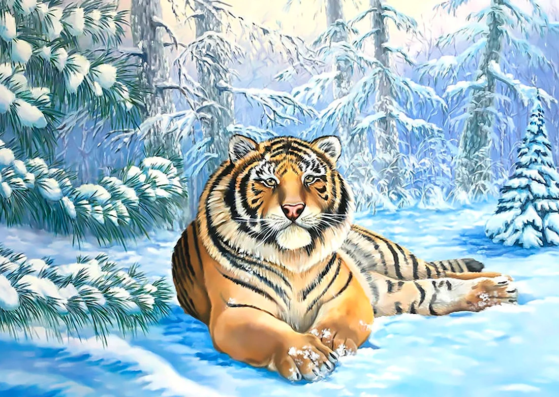 Амурский тигр открытка