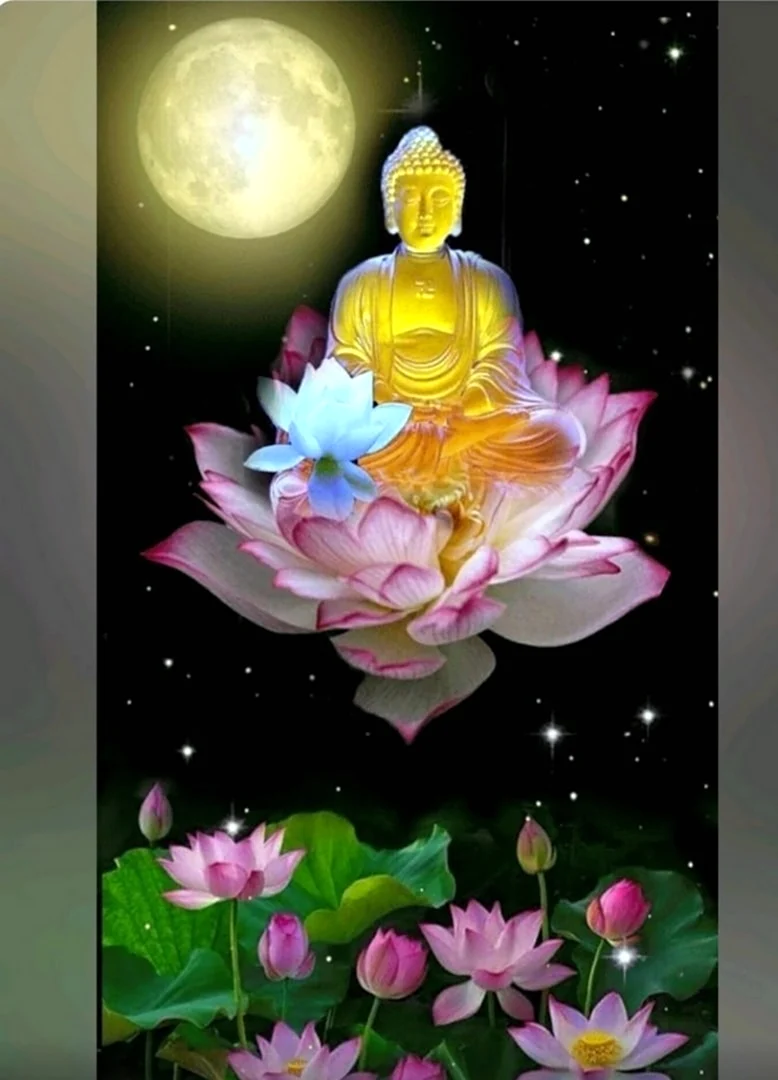 Будда картина Лотус открытка