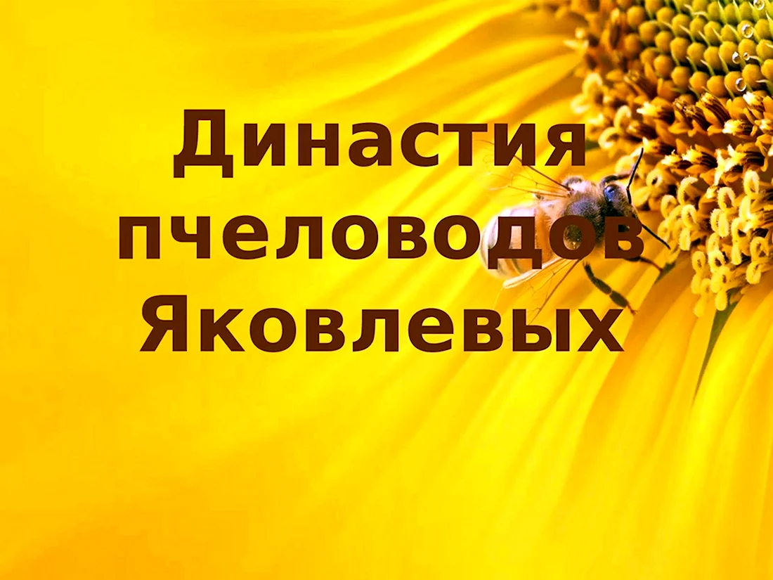 Династия пчеловодов. Открытка для мужчины