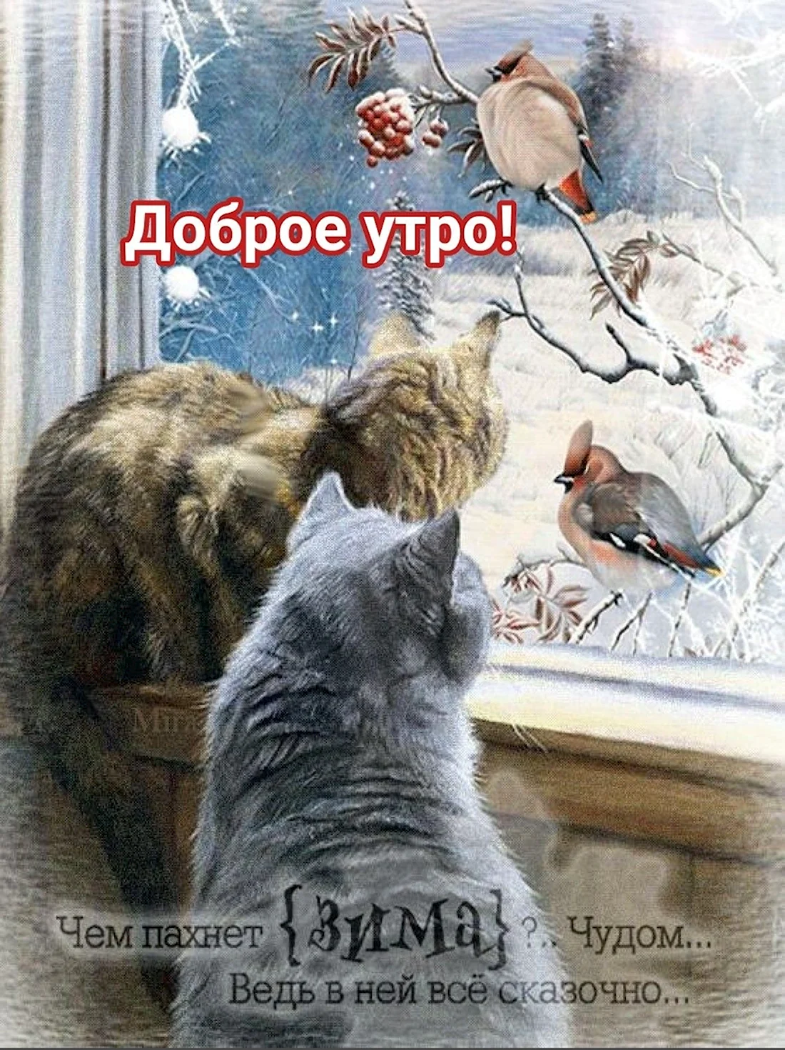 Доброе утро зима кот открытка