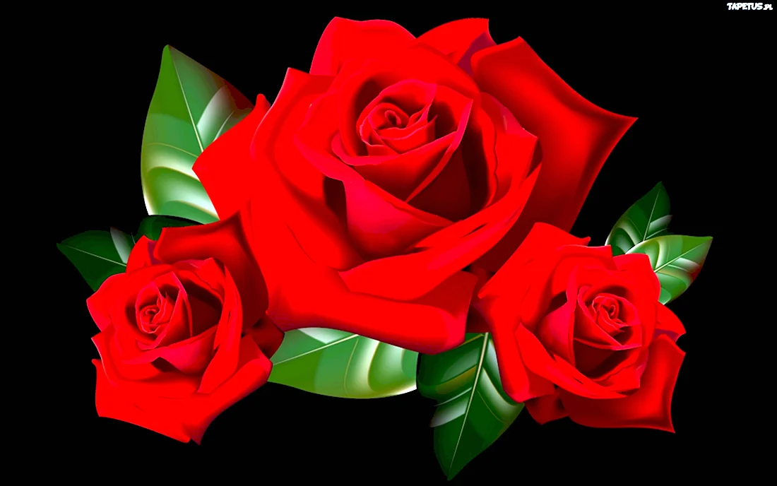 Добрый вечер с розами открытка