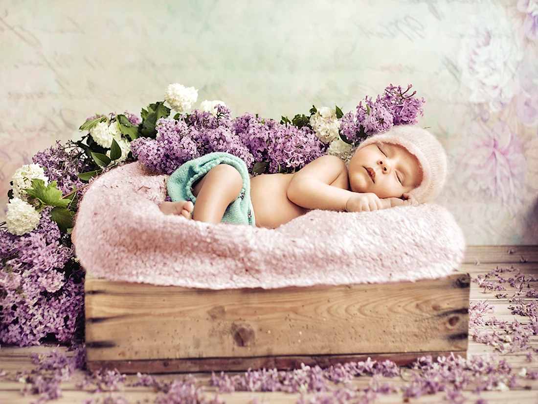 Фотосессия новорожденных в цветах. Открытка для детей