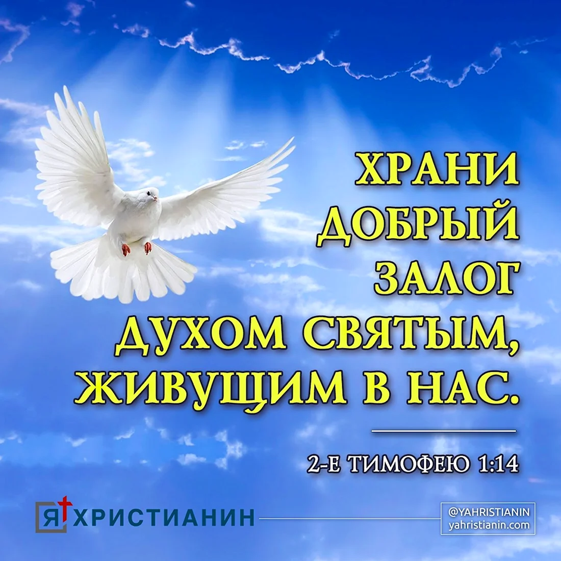 Храни добрый залог духом святым живущим в нас. открытка