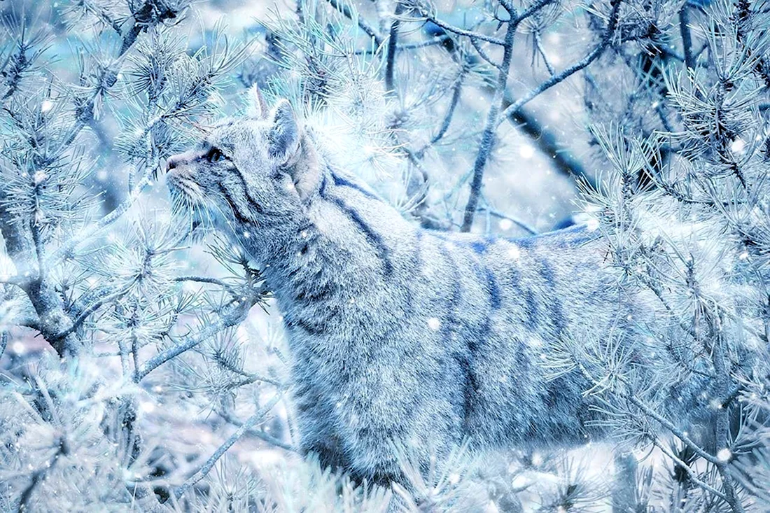 Кошки в зимнем лесу открытка