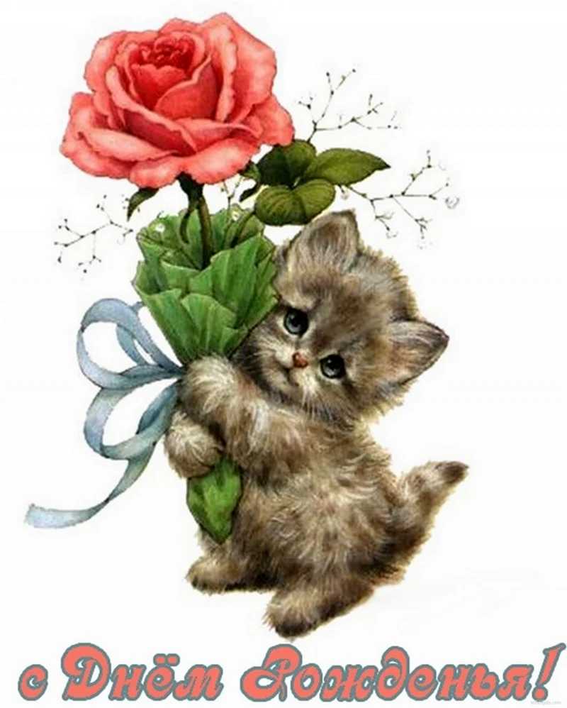 Кот с цветами открытка
