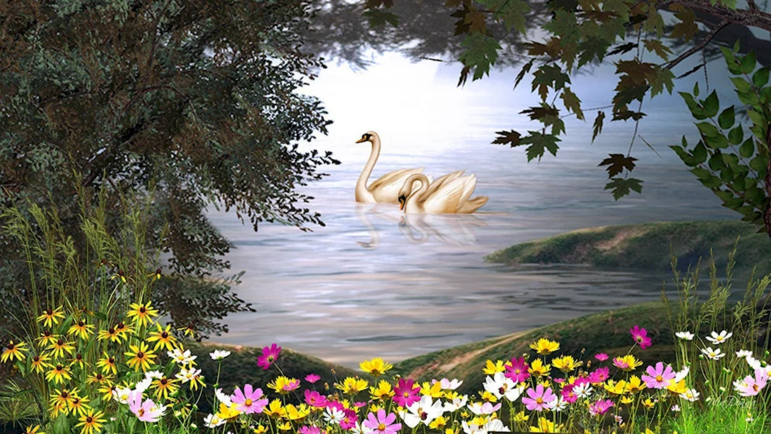 Красивые пейзажи с лебедями открытка