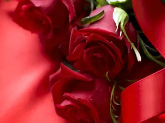Красные розы открытка. Открытка, картинка с поздравлением, с праздником