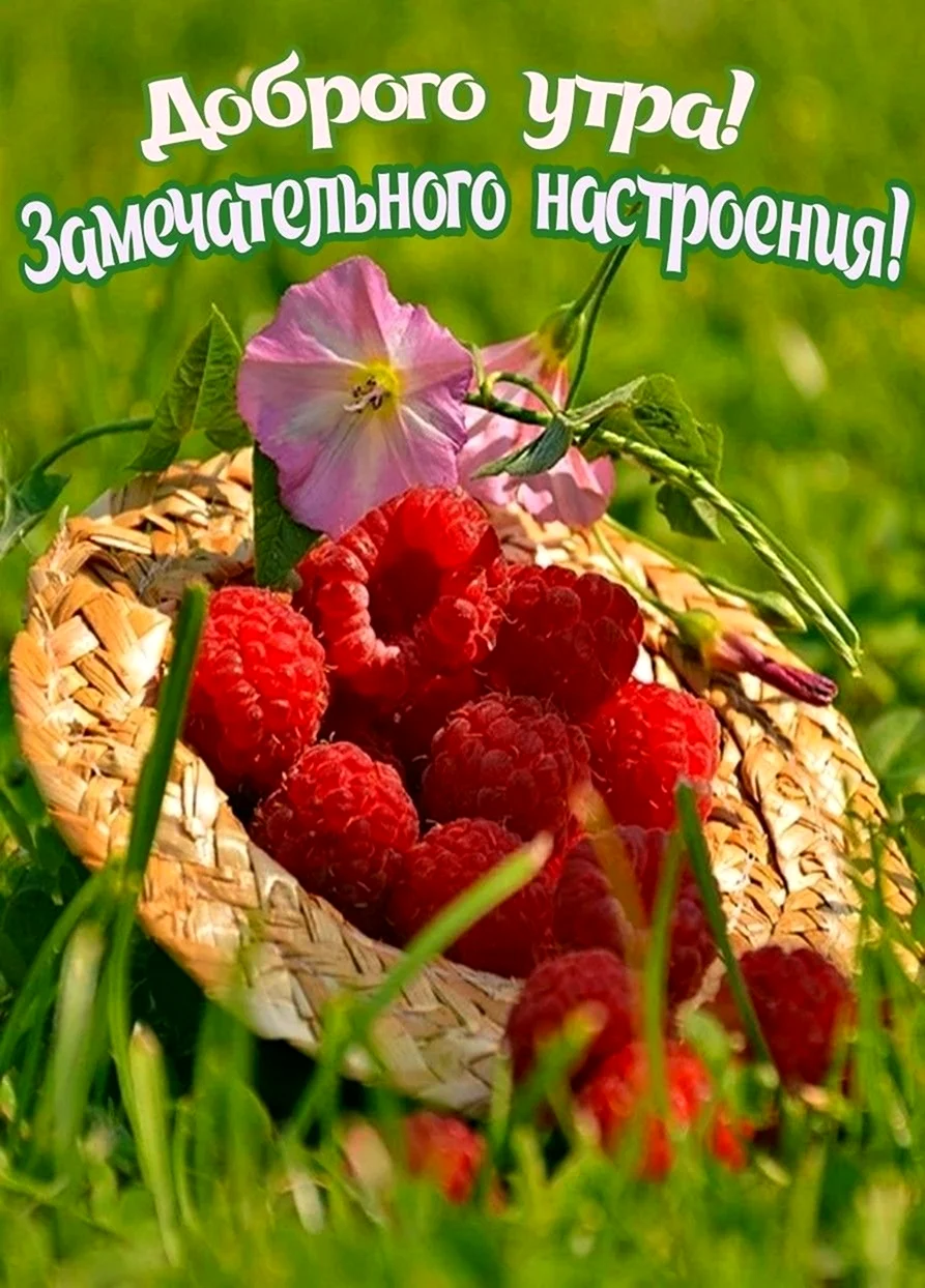 Лето ягоды открытка