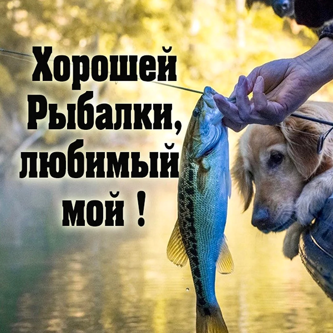 Любимому рыбаку открытка