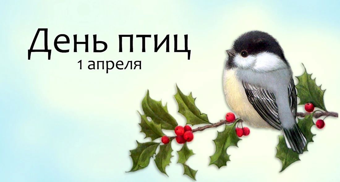 Международный день птиц открытка