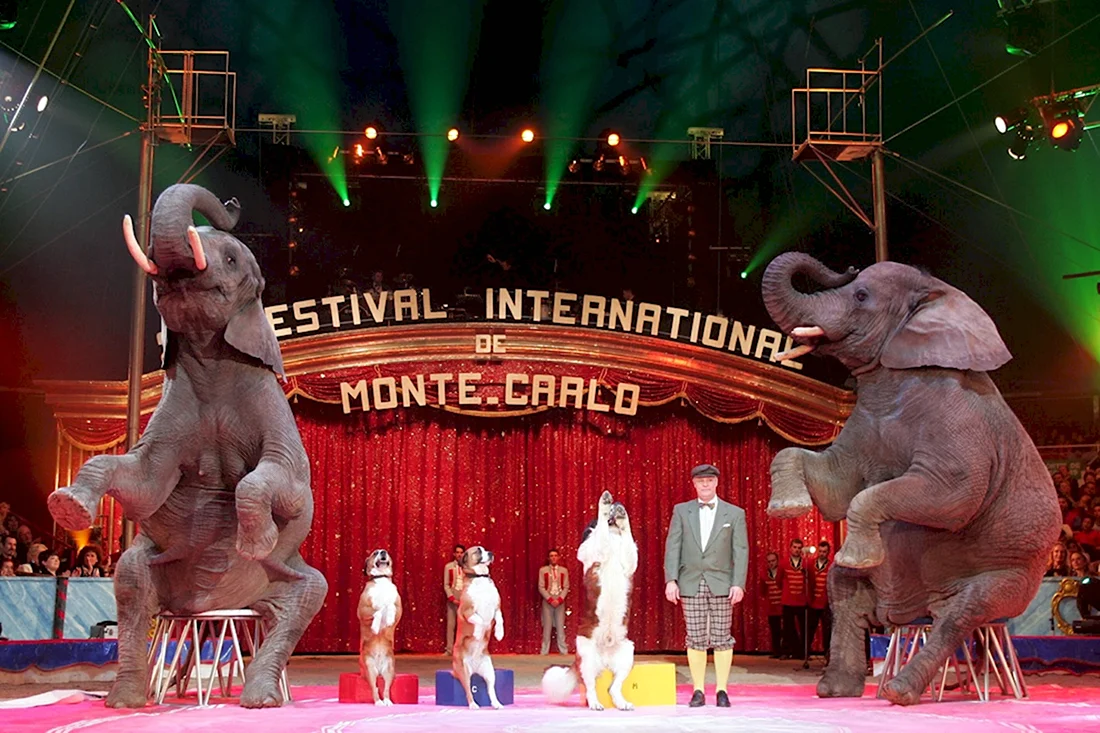 Международный фестиваль цирка в Монте-Карло открытка