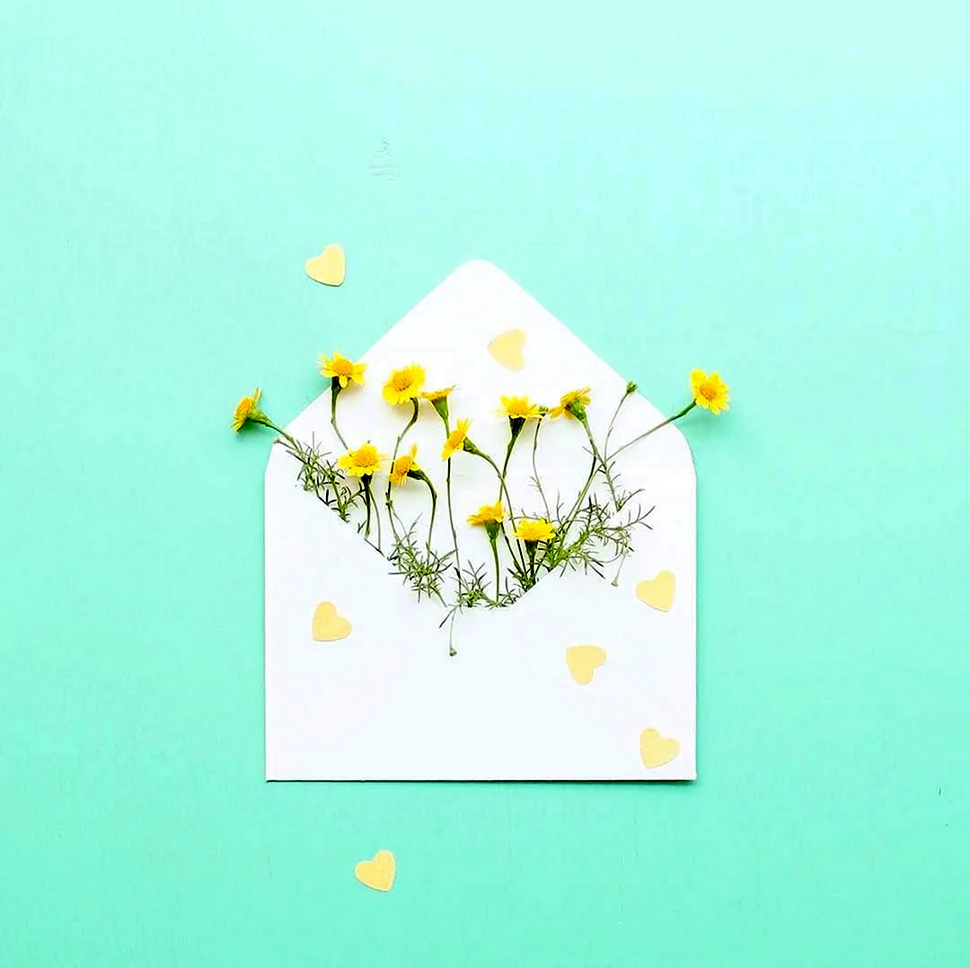 Минималистичные цветы открытка