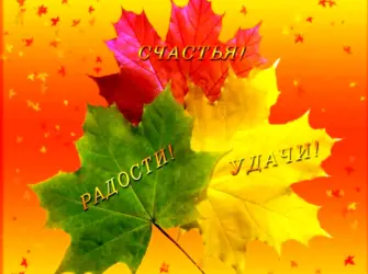Осенние листья с пожеланиями. Открытка, картинка с поздравлением, с праздником