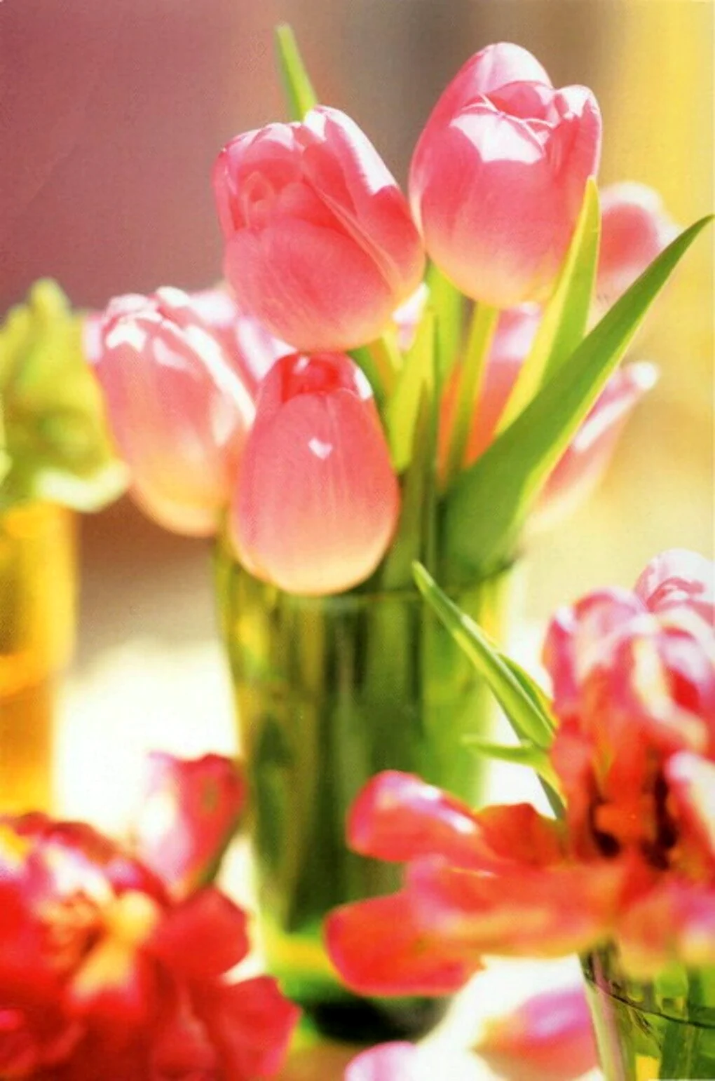 Открытки с днём рождения тюльпаны открытка