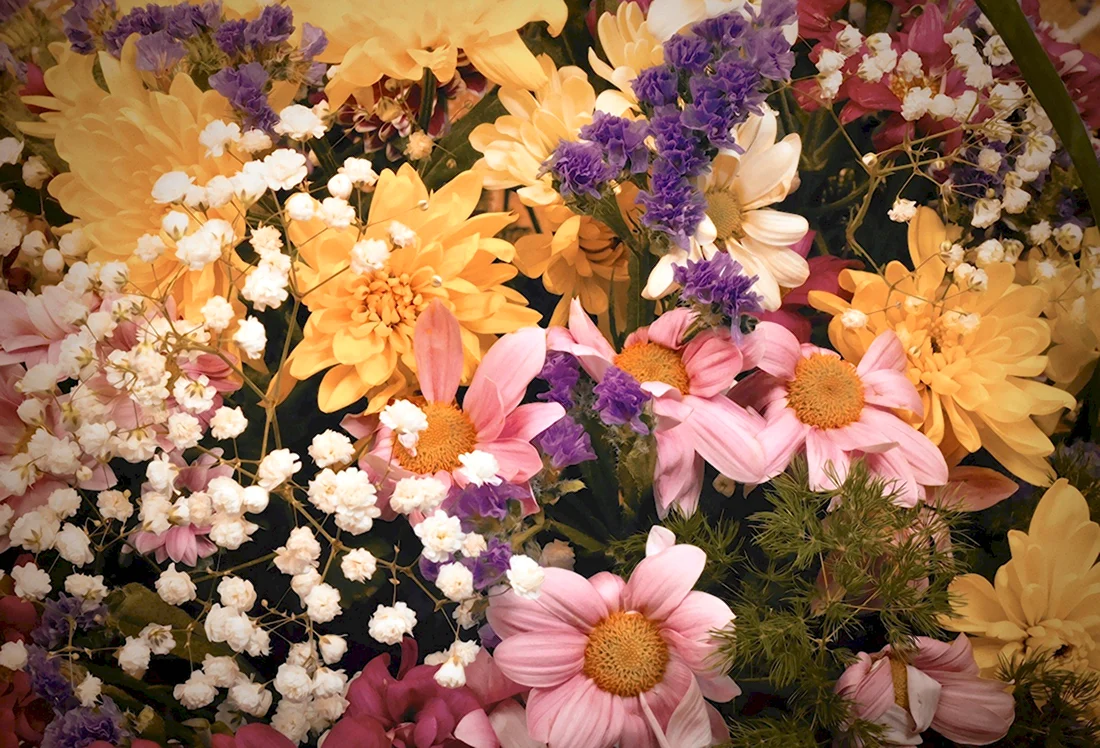 Праздничные цветы. Открытка, картинка с поздравлением, с праздником