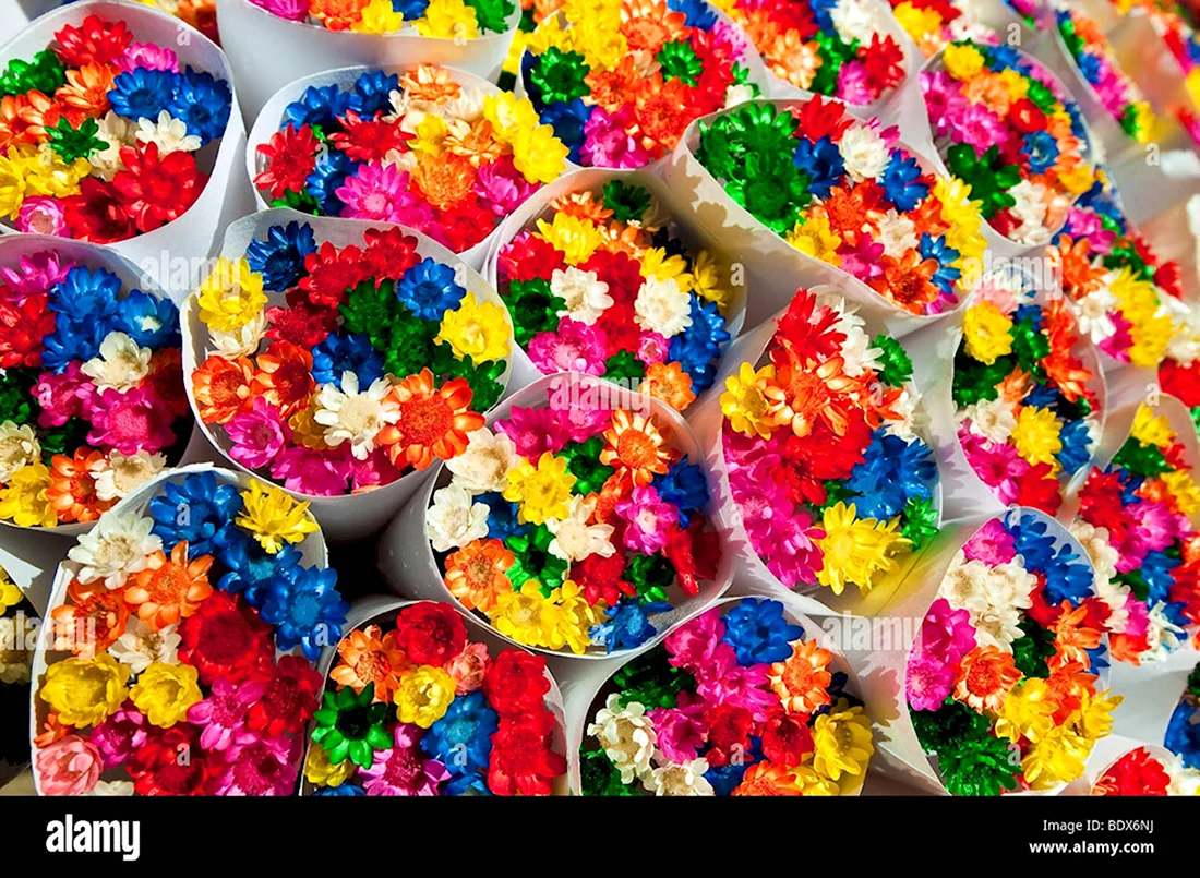 Праздник в детском саду день разноцветных букетов. Открытка, картинка с поздравлением, с праздником
