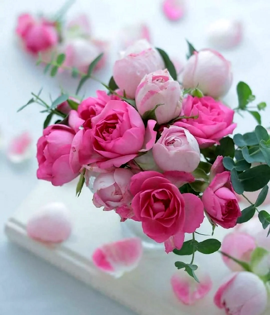 Розовые цветы открытка