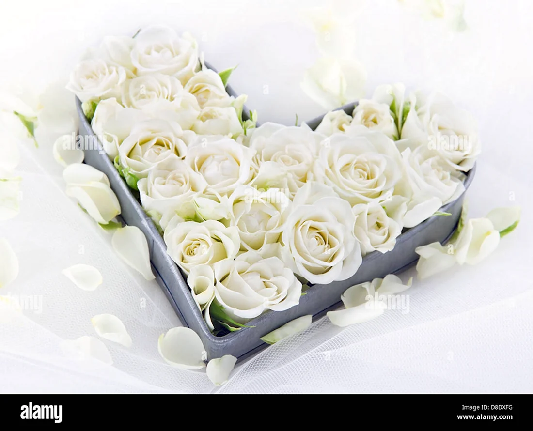 С днём рождения белые розы открытка