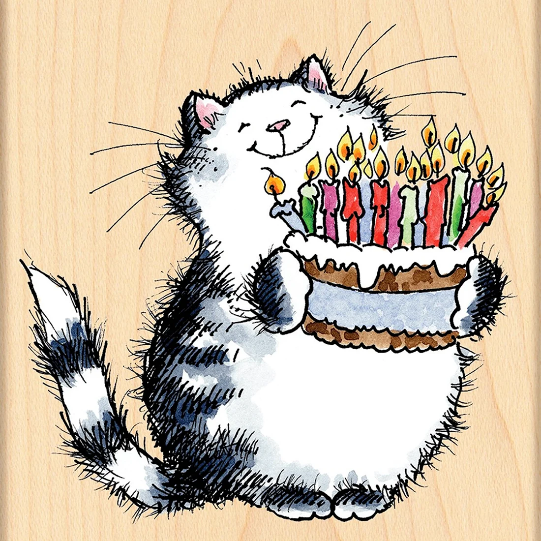 С днем рождения кот открытка