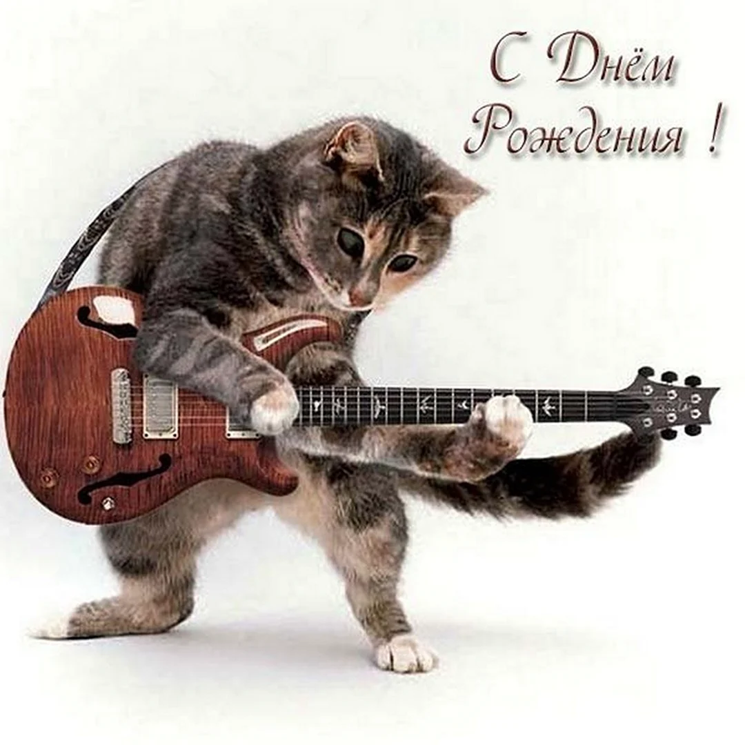 С днем рождения кот с гитарой открытка