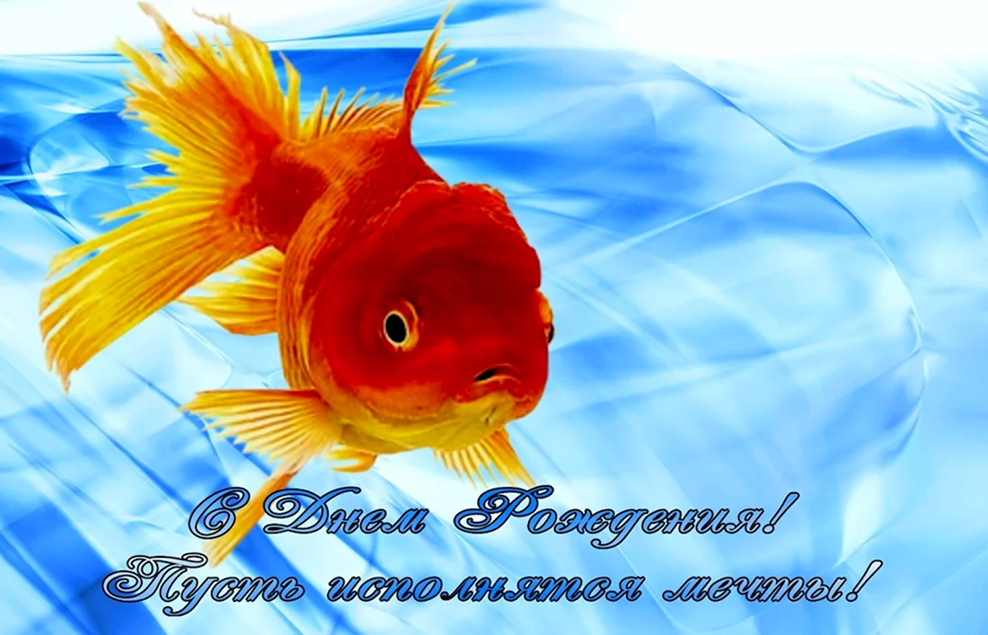 С днём рождения Золотая рыбка открытка