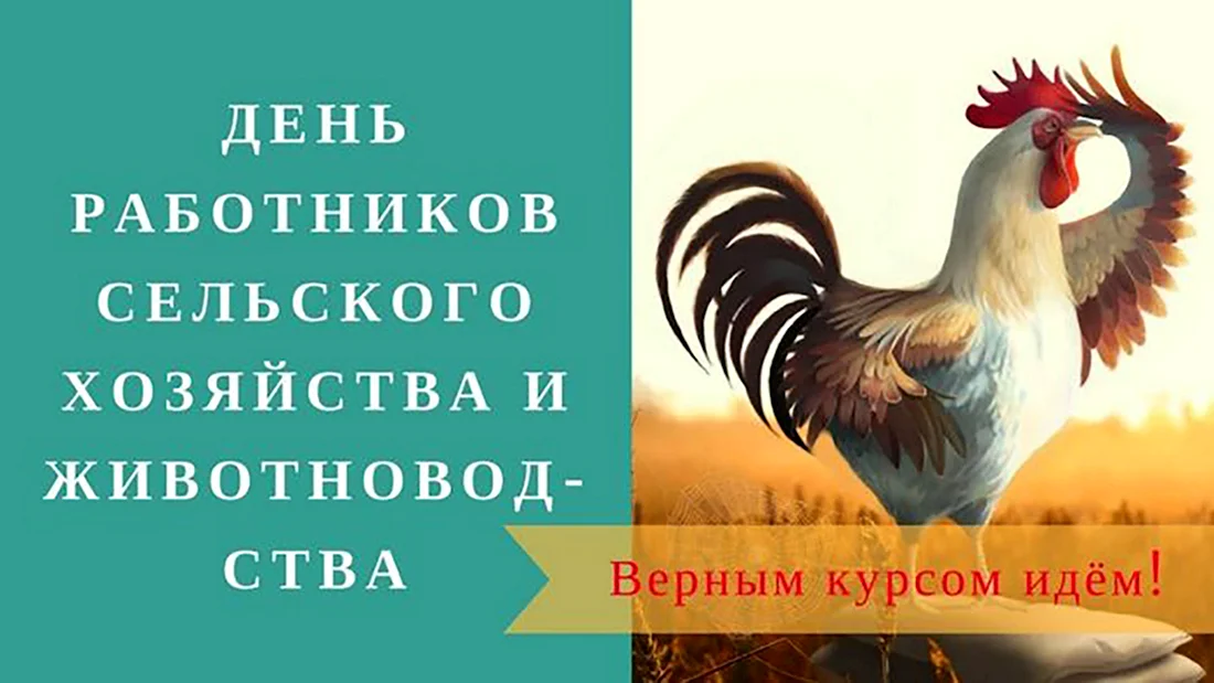 С днем сельского хозяйства птицеводов открытка