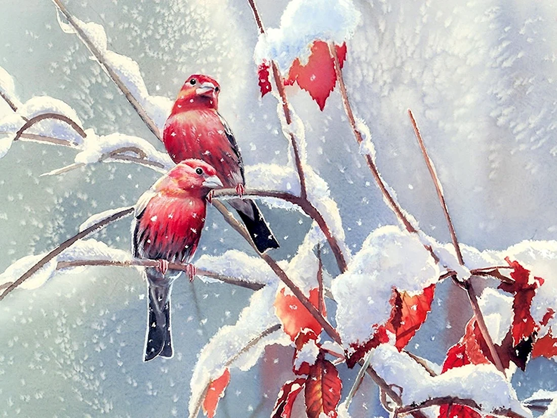 Сьюзен Бордет птицы зима открытка