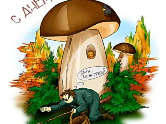 Смешные грибы. Открытка, картинка с поздравлением, с праздником