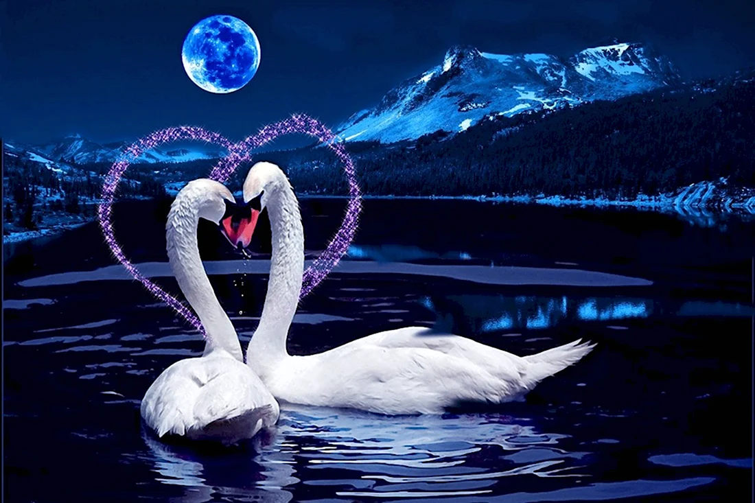 Спокойной ночи лебеди открытка
