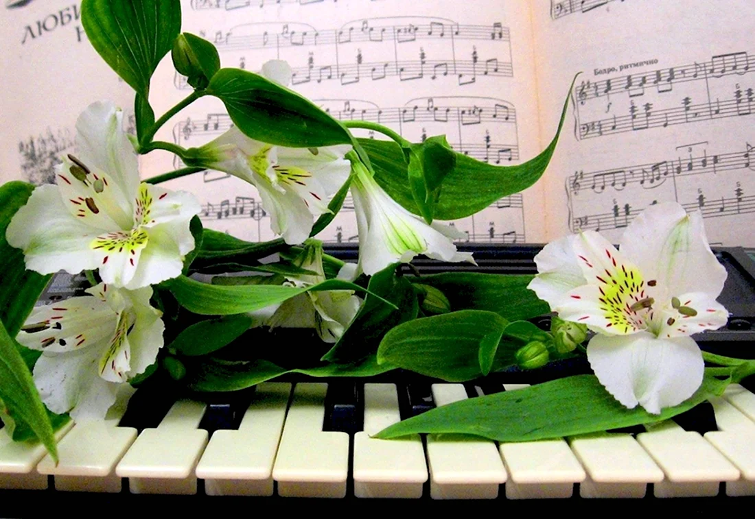 Цветы для музыканта открытка