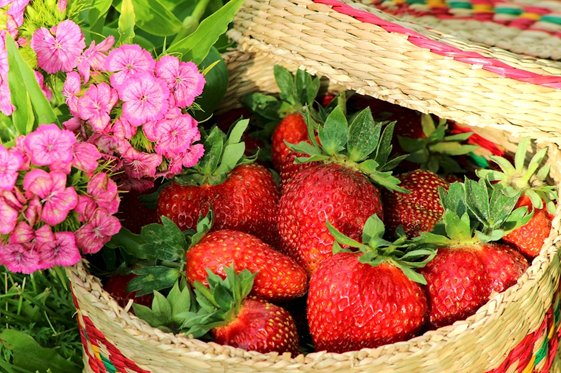 Цветы и ягоды открытка