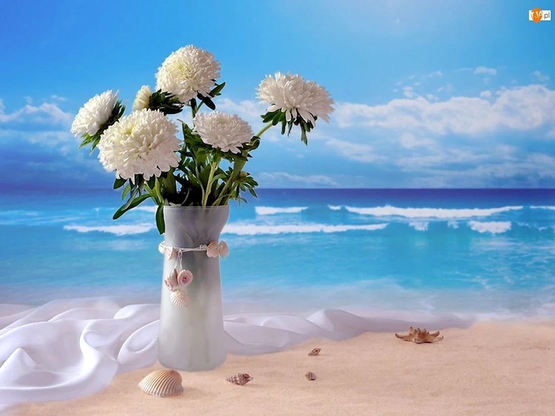 Цветы на фоне моря открытка