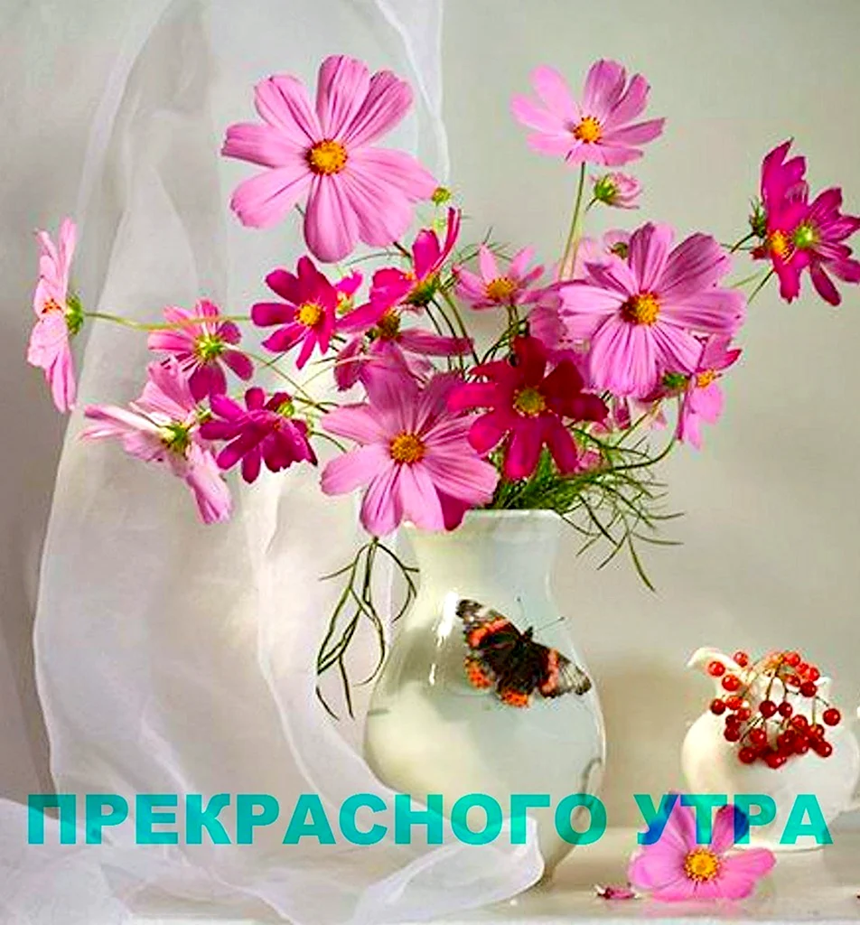 Цветы с пожеланиями хорошего дня открытка