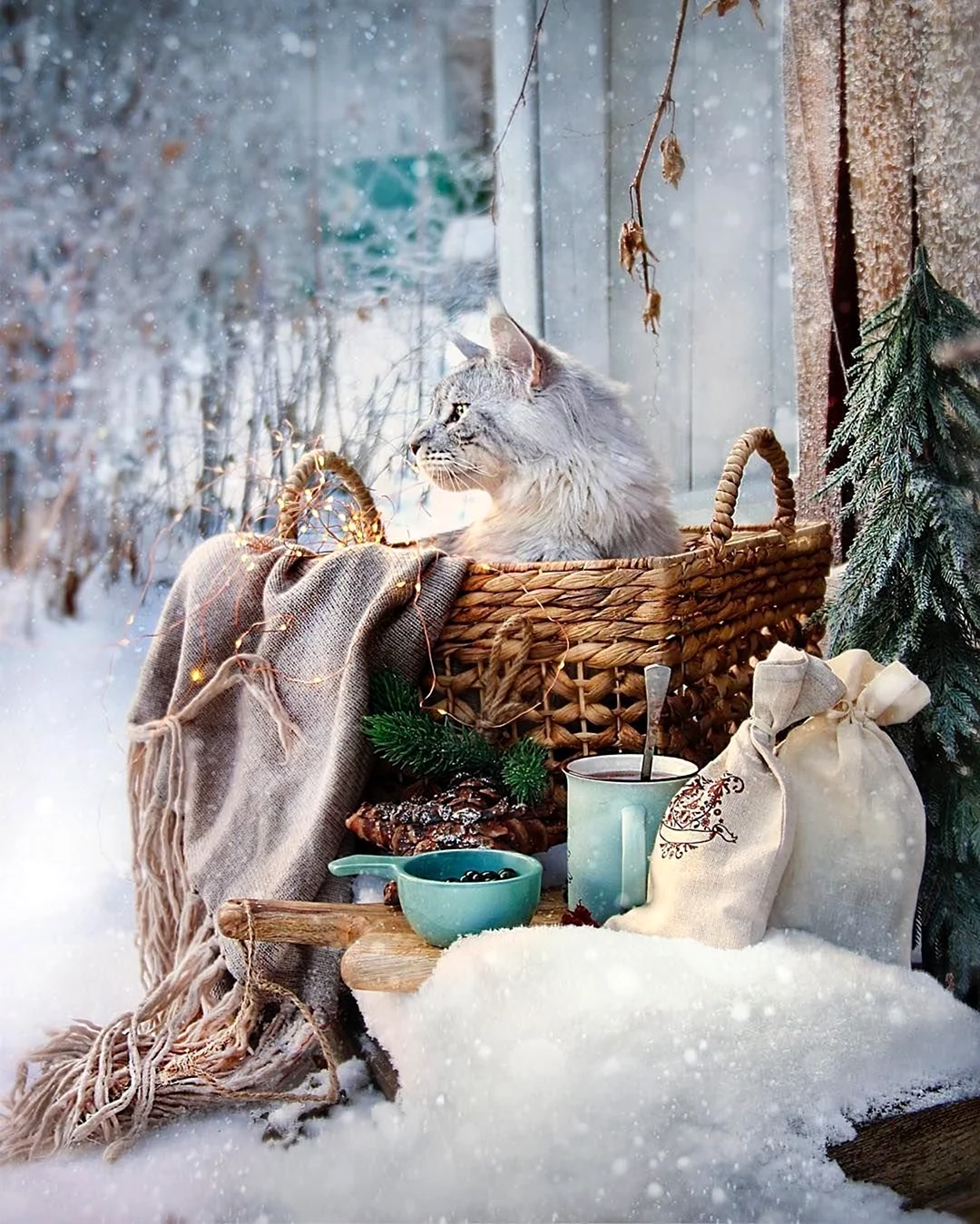 Уютное зимнее утро с котиком открытка