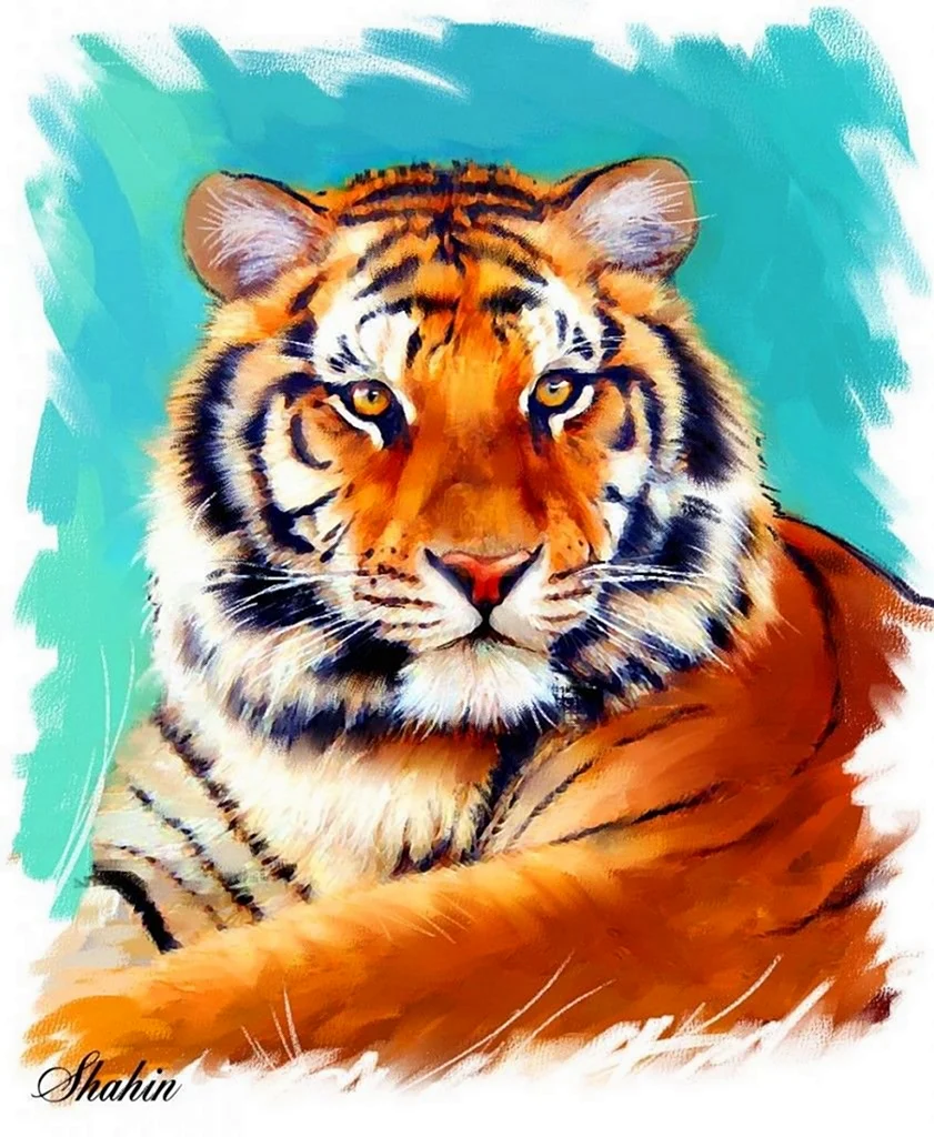 Уссурийский Амурский тигр рисунок открытка