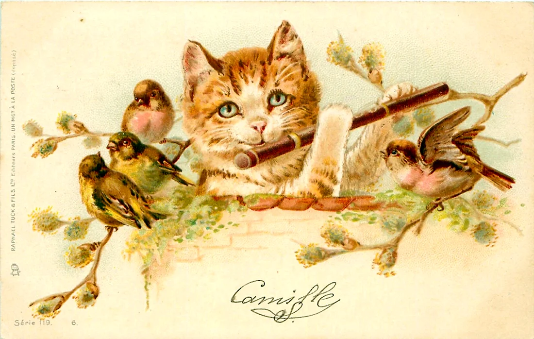 Винтажные кошки открытка