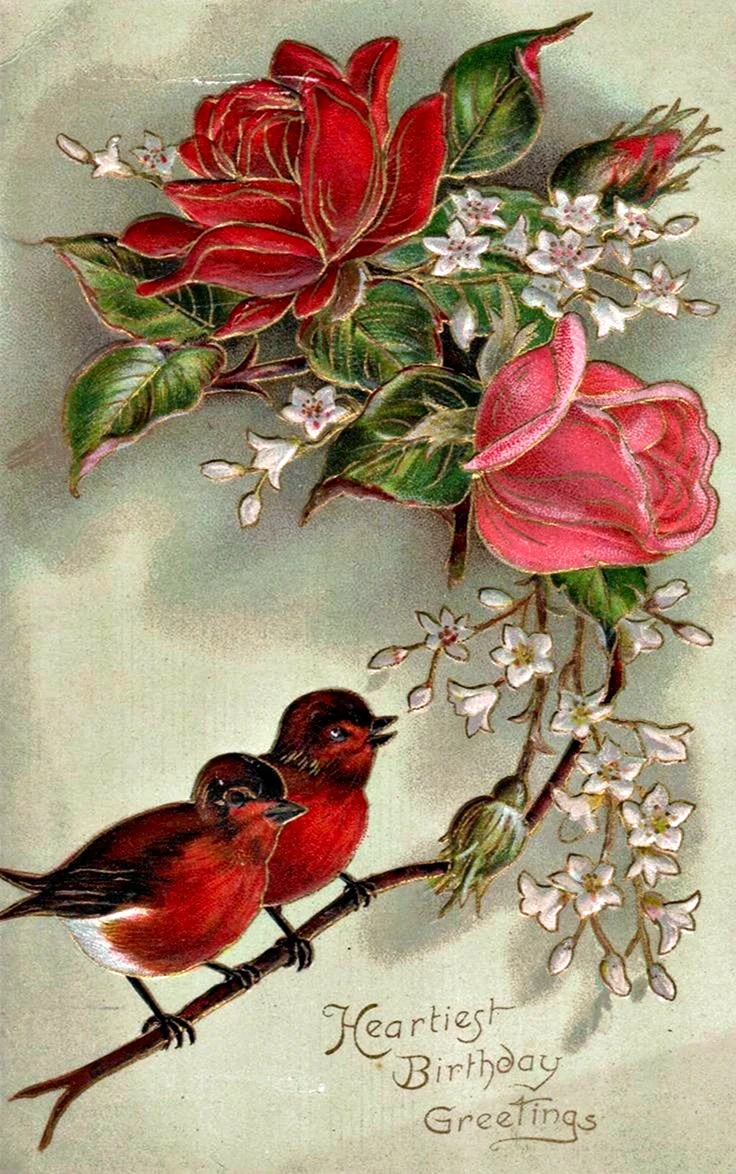 Винтажные птицы открытка