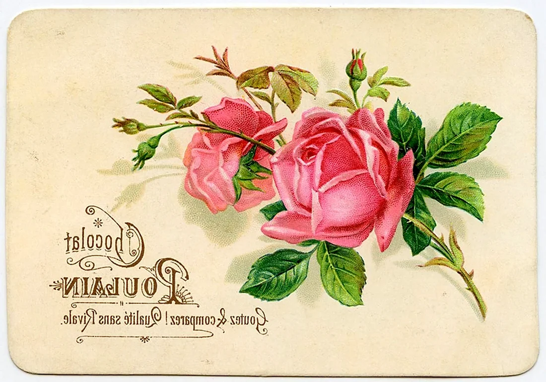 Винтажные розы открытка