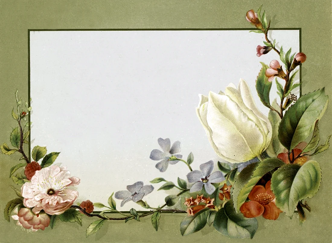 Винтажные цветочные рамки открытка