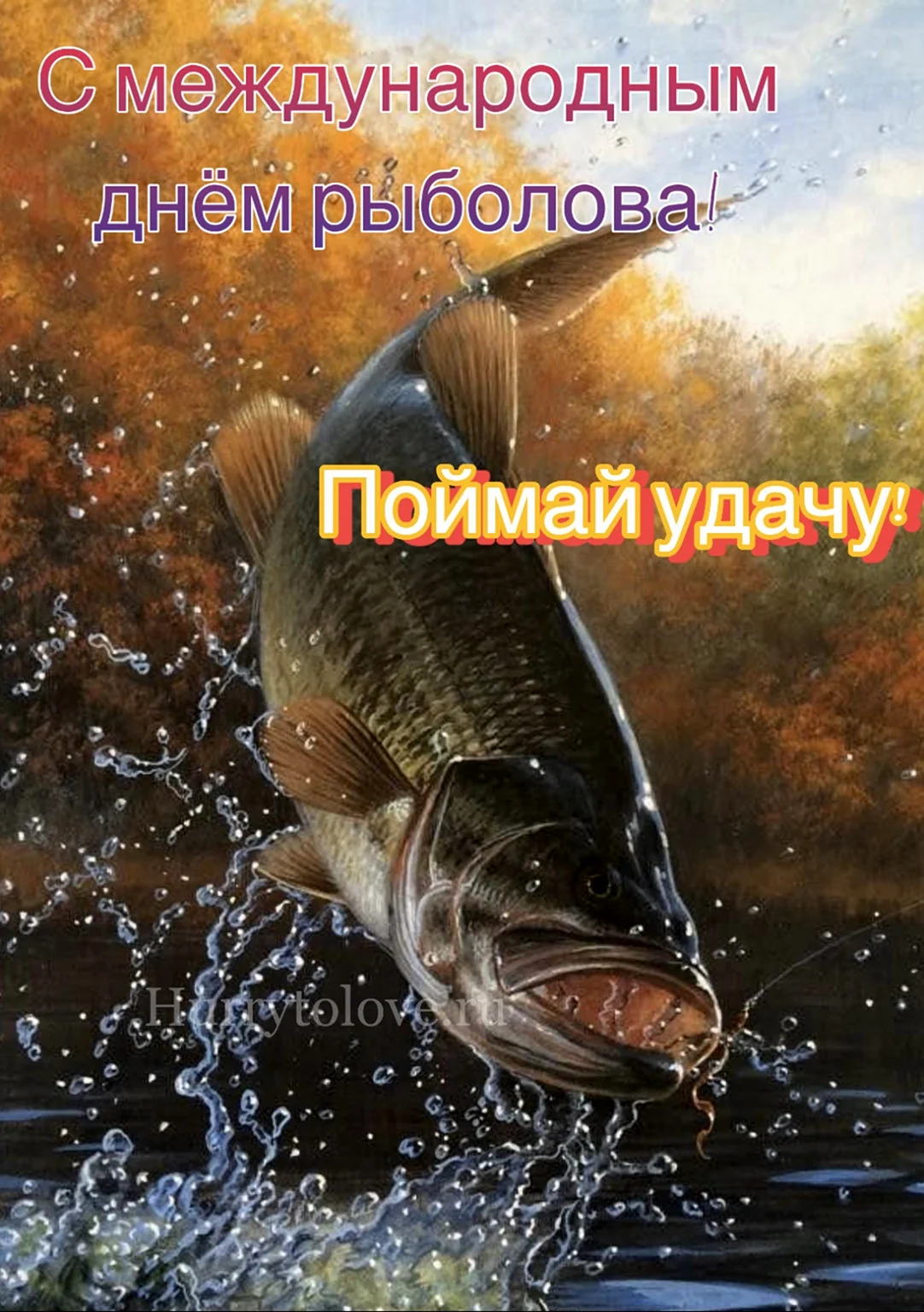 Всемирный день рыболовства поздравления открытка