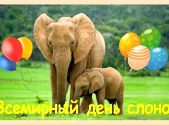 Всемирный день слонов «Слоноуин». Открытка, картинка с поздравлением, с праздником
