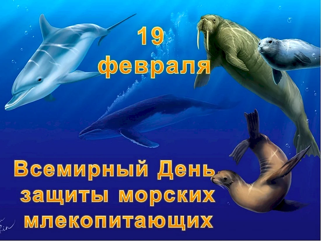 Всемирный день защиты млекопитающих 19 февраля открытка