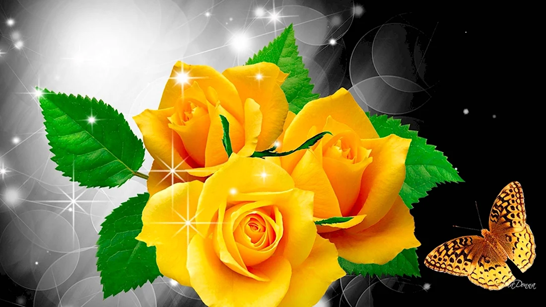 Желтые розы открытка