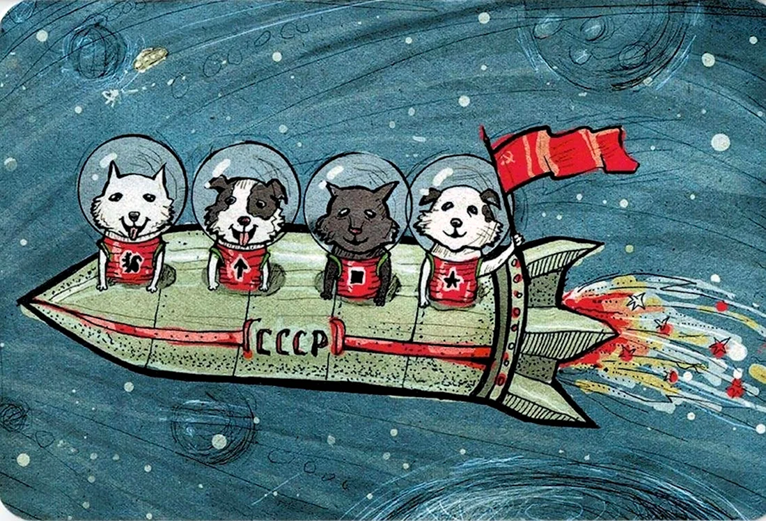 Животные в космосе открытка