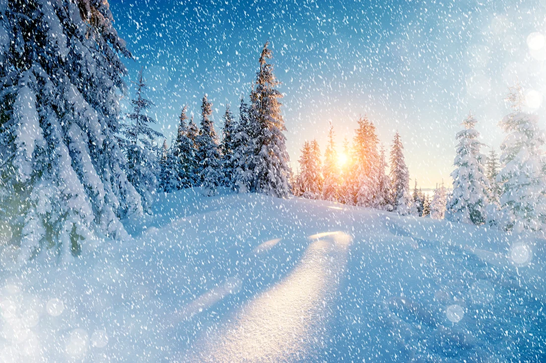 Зима снег открытка