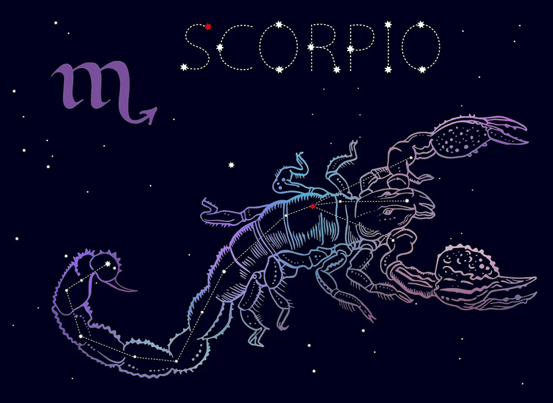 Зодиакальное Созвездие Скорпион. Открытка для мужчины