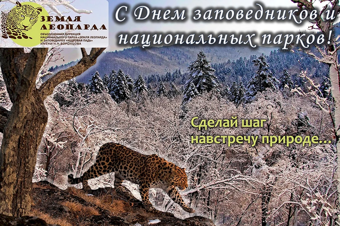 11 Января день заповедников и национальных парков России. Поздравление на праздник