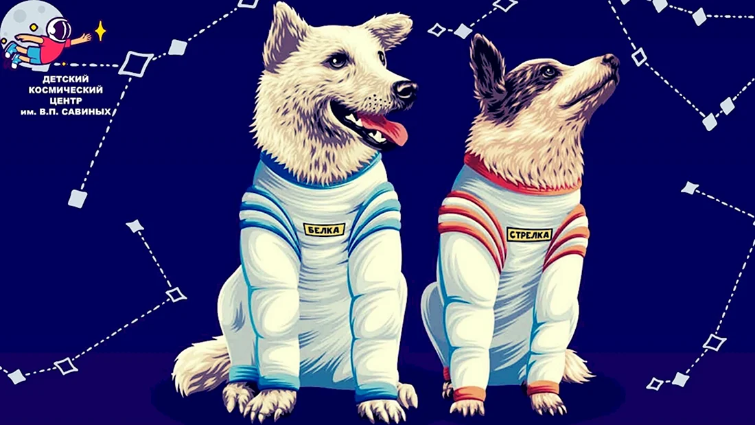 Белка и стрелка космонавты. Поздравление на праздник