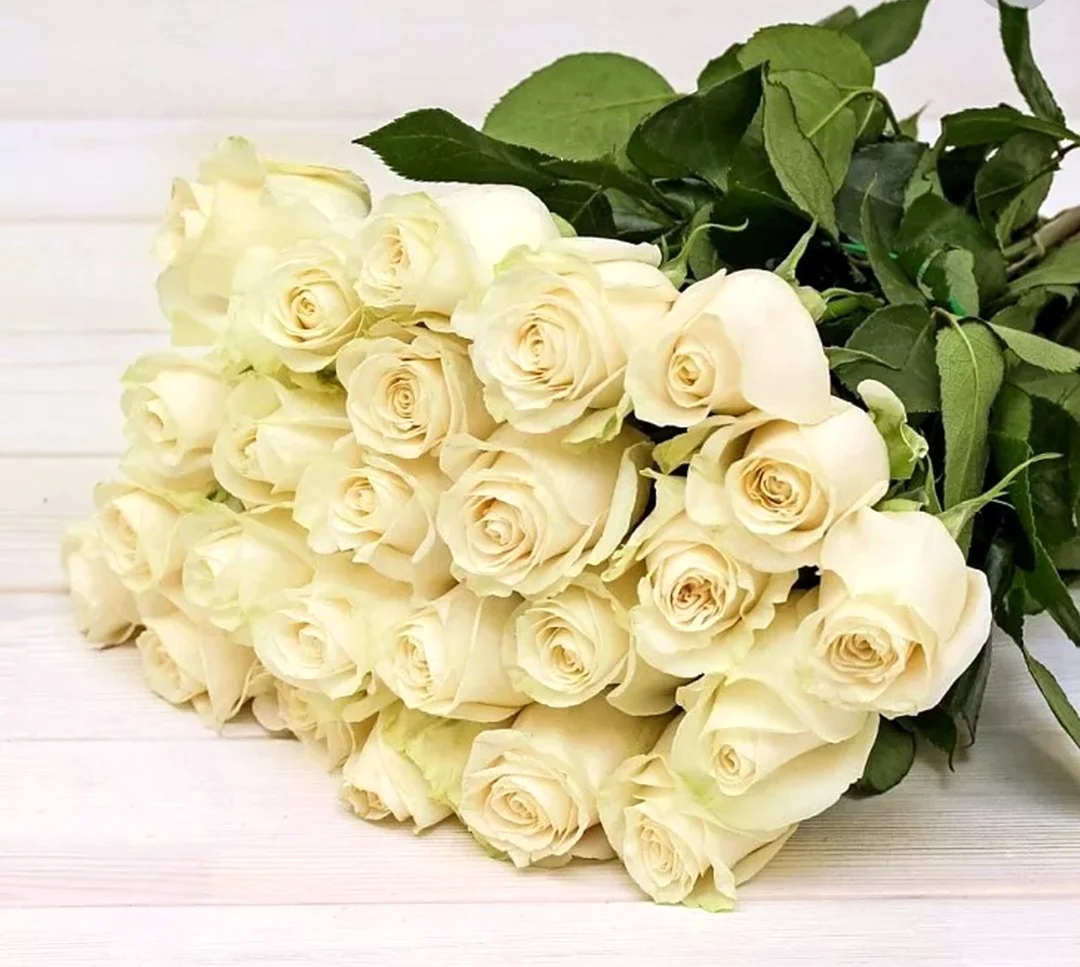 Белые розы. Открытка с Днем рождения. Поздравление с Днем рождения