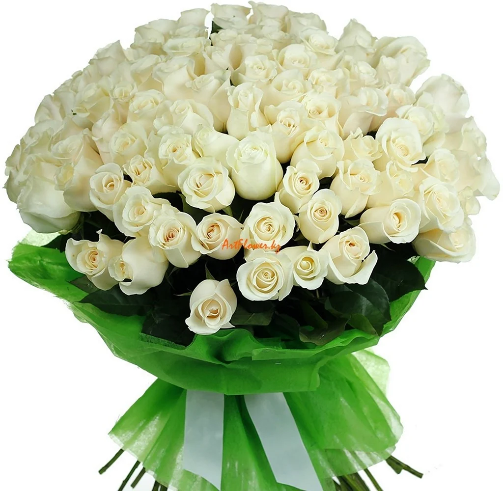 Букет белых роз. Открытка с Днем рождения. Поздравление с Днем рождения